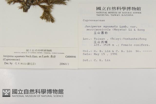 香青藏品圖，第2張