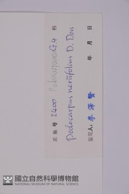 百日青藏品圖，第2張