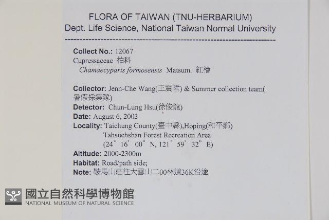 紅檜藏品圖，第2張