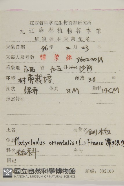 側柏藏品圖，第2張