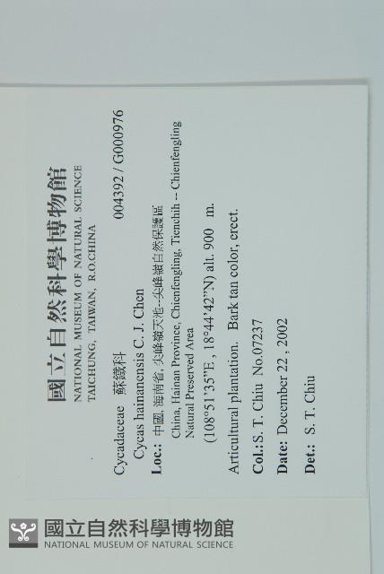 登錄號:G000976藏品圖，第2張