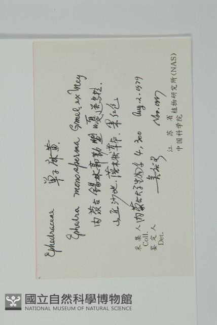 單子黃麻藏品圖，第2張