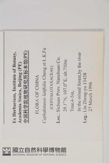 登錄號:G000556藏品圖，第2張