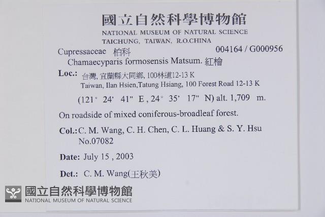 紅檜藏品圖，第2張