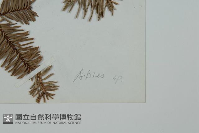 登錄號:G000356藏品圖，第2張