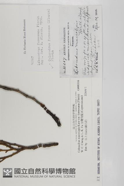 台灣肖楠藏品圖，第2張