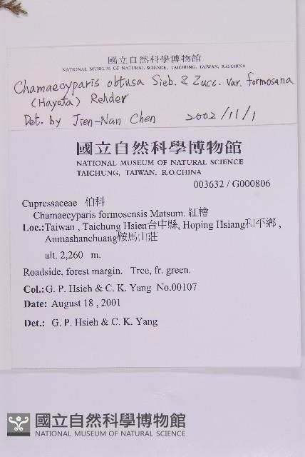 臺灣扁柏藏品圖，第2張