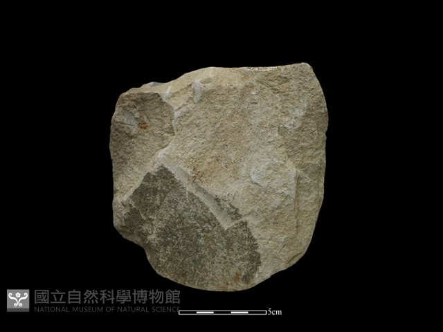 斧鋤形器藏品圖，第2張