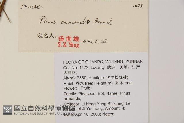 華山松藏品圖，第2張