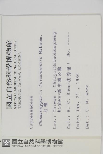 紅檜藏品圖，第2張