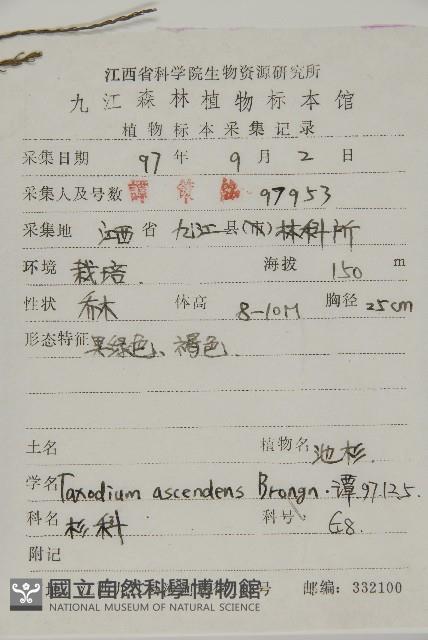 池杉藏品圖，第2張