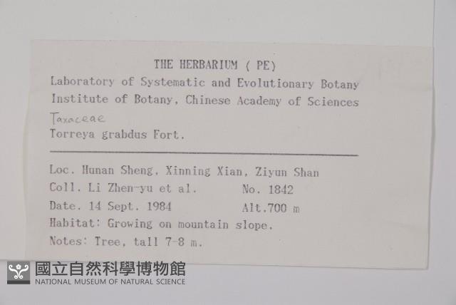 登錄號:G000292藏品圖，第2張