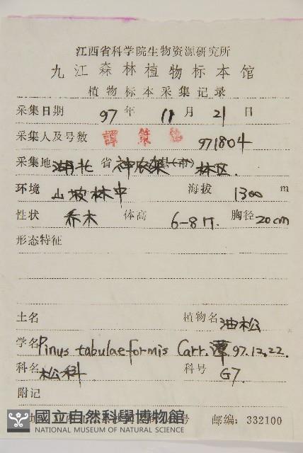 油松藏品圖，第2張