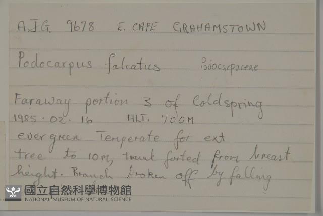 登錄號:G000992藏品圖，第2張