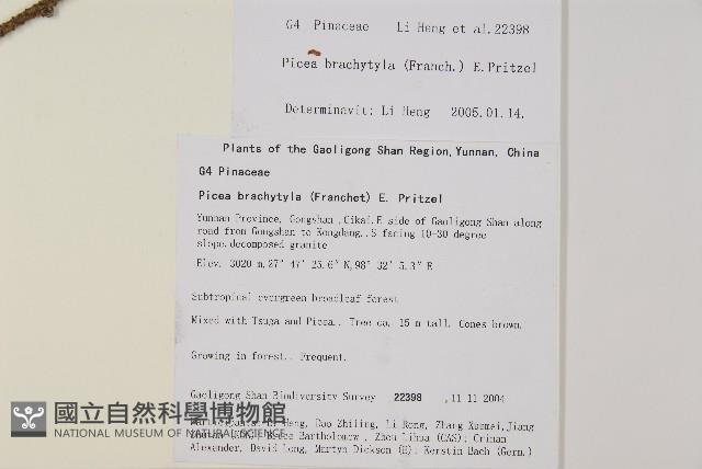 登錄號:G001062藏品圖，第2張