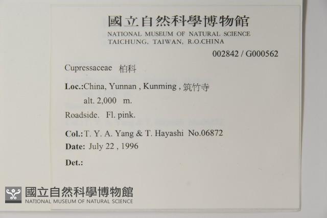 登錄號:G000562藏品圖，第2張