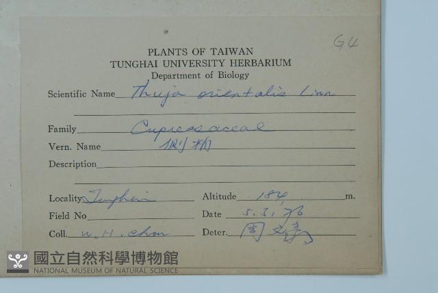 側柏藏品圖，第2張