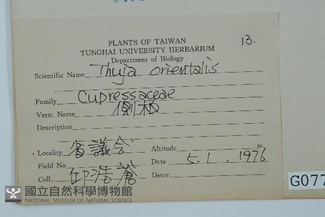 側柏藏品圖，第2張