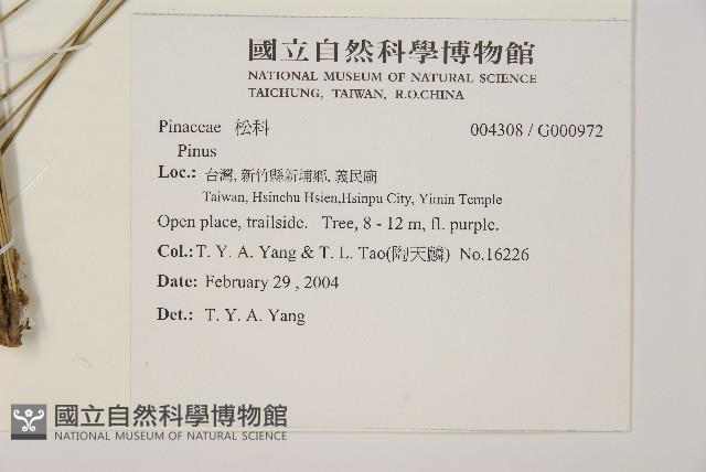 登錄號:G000972藏品圖，第2張