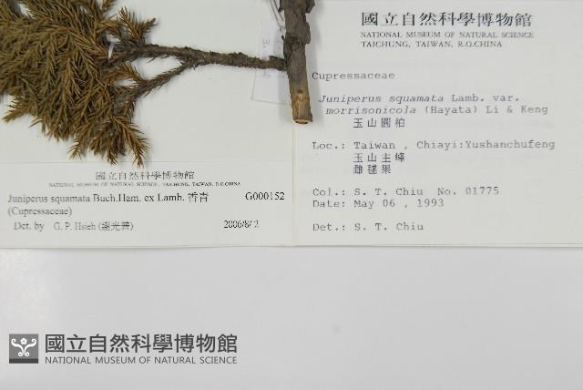 香青藏品圖，第2張