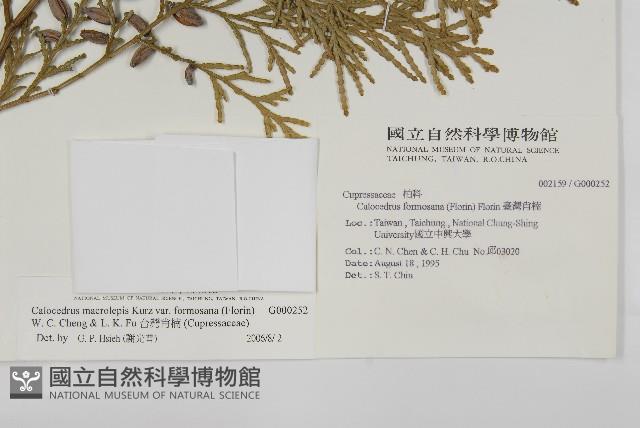 台灣肖楠藏品圖，第2張