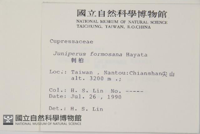 刺柏藏品圖，第2張