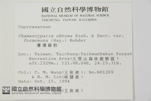 臺灣扁柏藏品圖，第2張