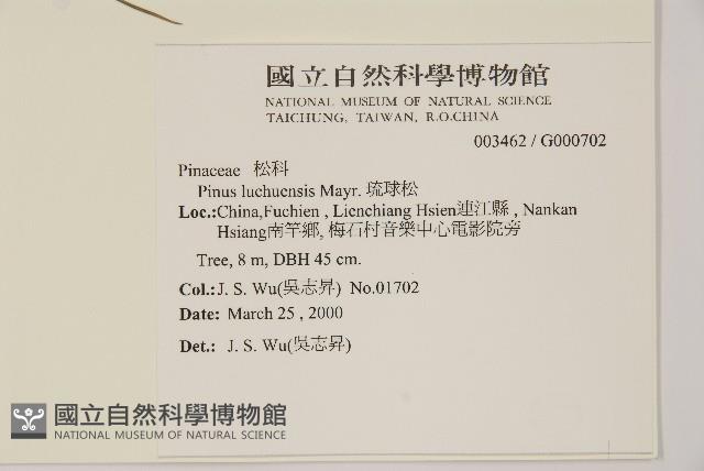 琉球松藏品圖，第2張