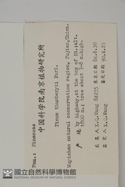 黑松藏品圖，第2張