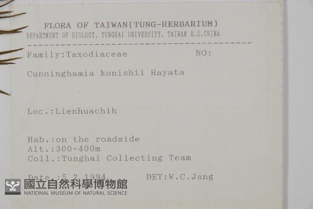 杉木藏品圖，第2張