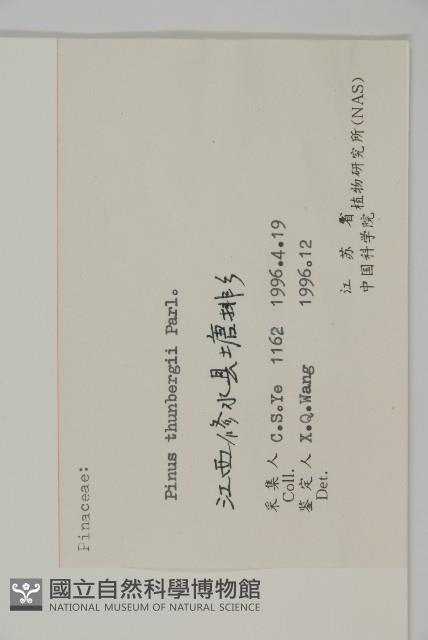 黑松藏品圖，第2張