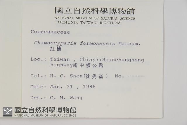 紅檜藏品圖，第2張