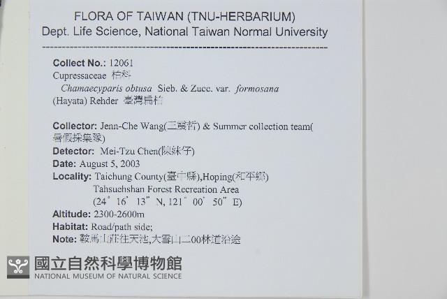 臺灣扁柏藏品圖，第2張