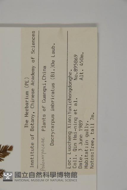 Accession Number:G000290 Collection Image, Figure 2, Total 4 Figures