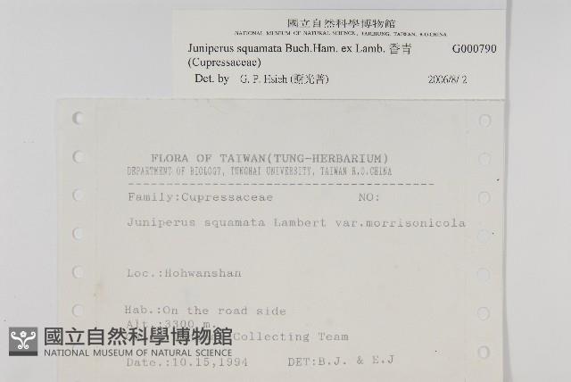 香青藏品圖，第2張