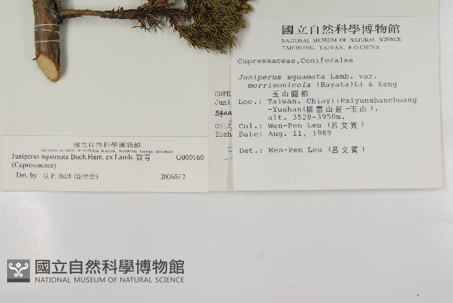 香青藏品圖，第2張