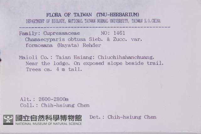 臺灣扁柏藏品圖，第2張