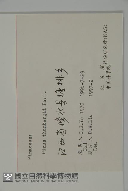 黑松藏品圖，第2張