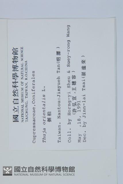 側柏藏品圖，第2張