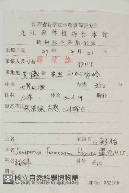 刺柏藏品圖，第2張