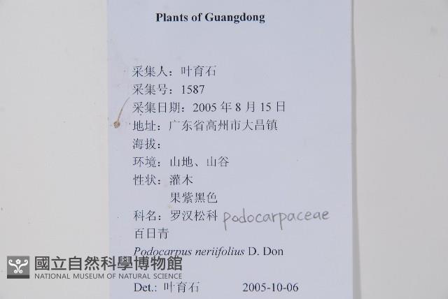 百日青藏品圖，第2張