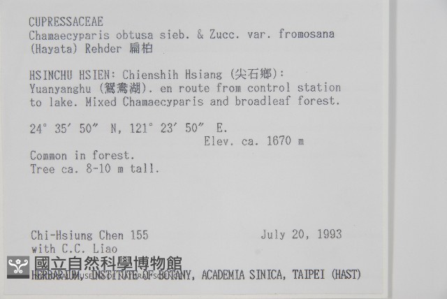 臺灣扁柏藏品圖，第2張