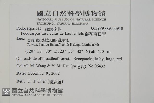 Accession Number:G000910 Collection Image, Figure 2, Total 5 Figures