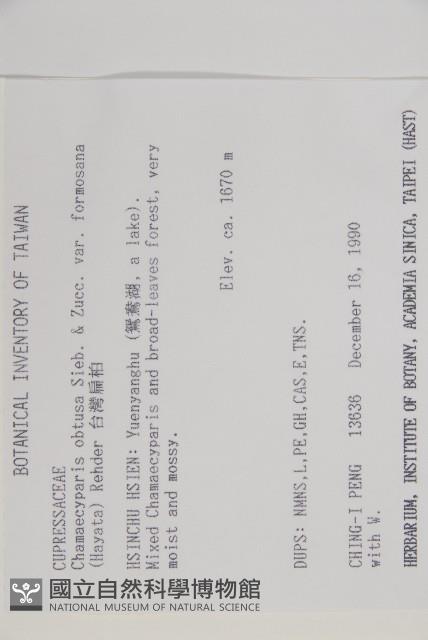 臺灣扁柏藏品圖，第2張