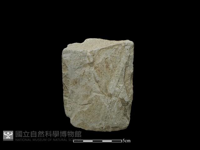 錛鑿形器藏品圖，第2張