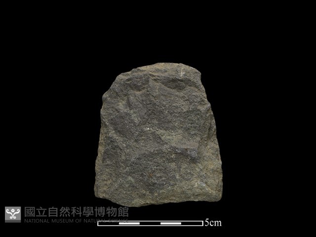 斧鋤形器藏品圖，第2張