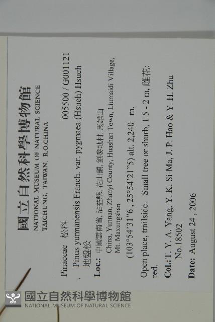 地盤松藏品圖，第2張