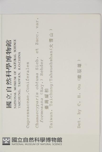 臺灣扁柏藏品圖，第2張