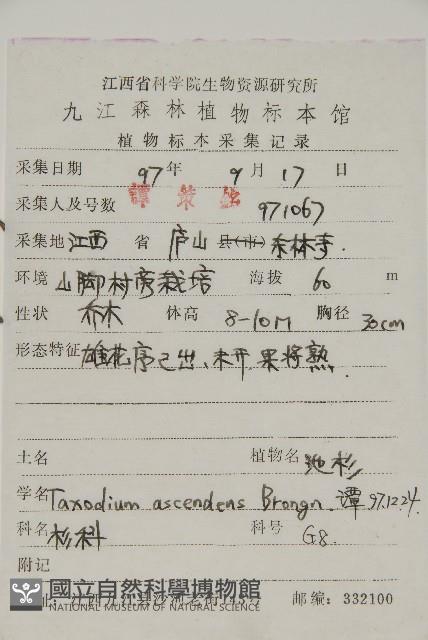 池杉藏品圖，第2張