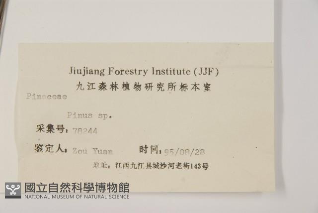 登錄號:G000391藏品圖，第2張